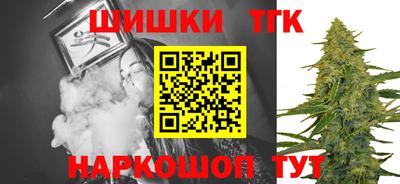 МДПВ Новозыбков