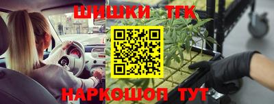 МДПВ Новозыбков