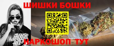 МДПВ Новозыбков