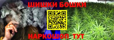МДПВ Новозыбков